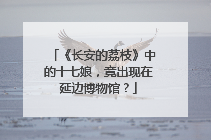 《长安的荔枝》中的十七娘，竟出现在延边博物馆？