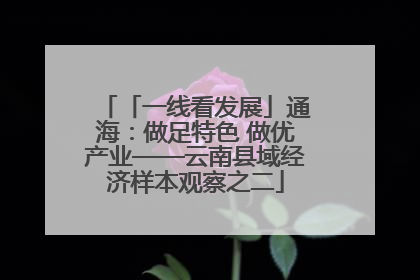 「一线看发展」通海：做足特色 做优产业——云南县域经济样本观察之二