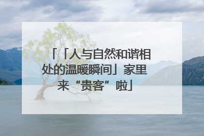 「人与自然和谐相处的温暖瞬间」家里来“贵客”啦