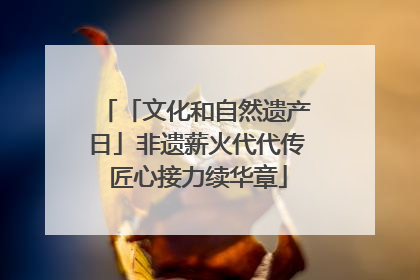 「文化和自然遗产日」非遗薪火代代传 匠心接力续华章