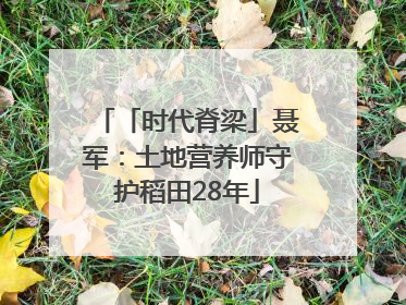 「时代脊梁」聂军：土地营养师守护稻田28年