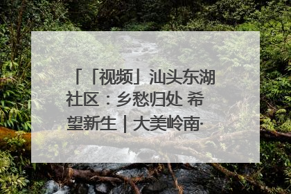 「视频」汕头东湖社区：乡愁归处 希望新生｜大美岭南·百村焕新记
