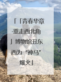 「青春华章·重走西北角」博物馆丑东西为“神马”爆火