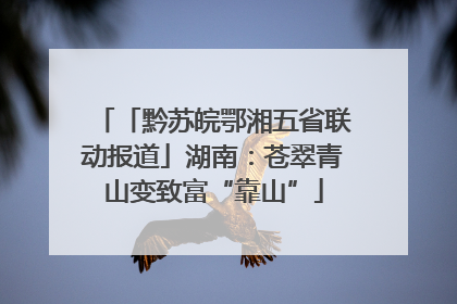 「黔苏皖鄂湘五省联动报道」湖南：苍翠青山变致富“靠山”