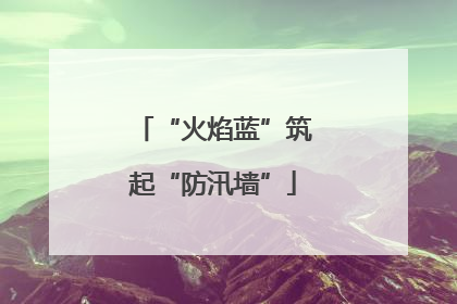 “火焰蓝”筑起“防汛墙”