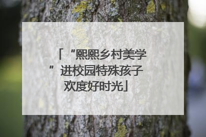 “熙熙乡村美学”进校园特殊孩子欢度好时光