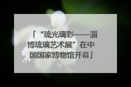 “琉光璃彩——淄博琉璃艺术展”在中国国家博物馆开幕