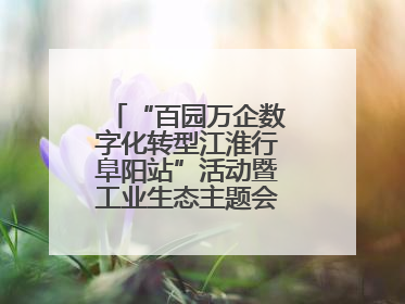 “百园万企数字化转型江淮行阜阳站”活动暨工业生态主题会议成功举办