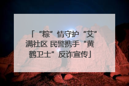 “粽”情守护“艾”满社区 民警携手“黄鹤卫士”反诈宣传