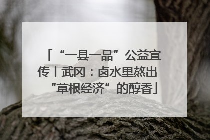 “一县一品”公益宣传丨武冈：卤水里熬出“草根经济”的醇香