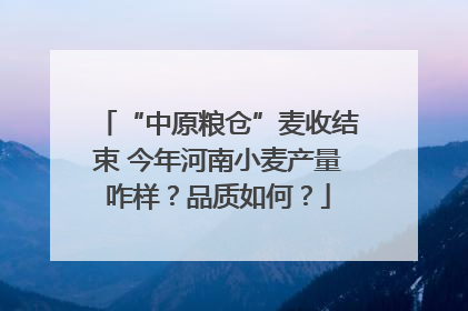 “中原粮仓”麦收结束 今年河南小麦产量咋样？品质如何？