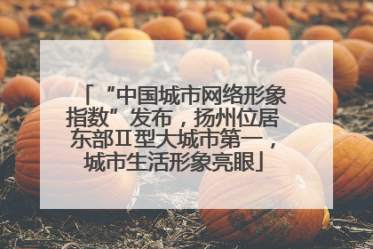 “中国城市网络形象指数”发布，扬州位居东部Ⅱ型大城市第一，城市生活形象亮眼