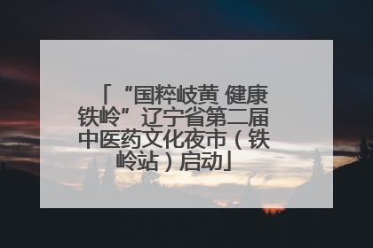 “国粹岐黄 健康铁岭”辽宁省第二届中医药文化夜市（铁岭站）启动