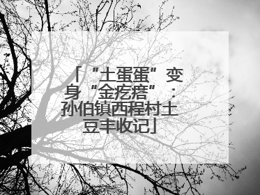 “土蛋蛋”变身“金疙瘩”：孙伯镇西程村土豆丰收记