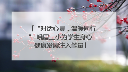 “对话心灵，温暖同行” 峨眉三小为学生身心健康发展注入能量