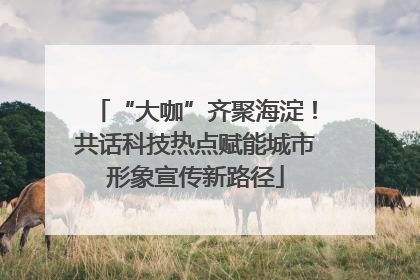 “大咖”齐聚海淀！共话科技热点赋能城市形象宣传新路径