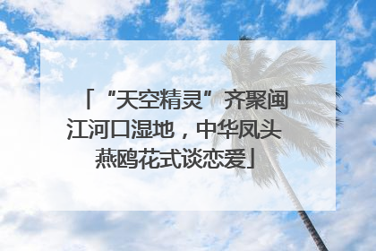 “天空精灵”齐聚闽江河口湿地，中华凤头燕鸥花式谈恋爱