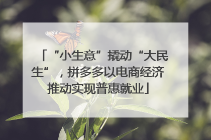 “小生意”撬动“大民生”，拼多多以电商经济推动实现普惠就业