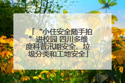 “小住安全随手拍”进校园 四川多维度科普汛期安全、垃圾分类和工地安全