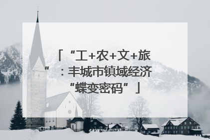 “工+农+文+旅”：丰城市镇域经济“蝶变密码”
