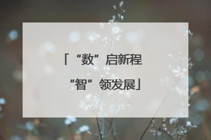 “数”启新程 “智”领发展