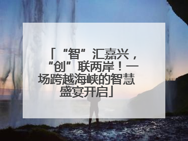 “智”汇嘉兴，“创”联两岸！一场跨越海峡的智慧盛宴开启