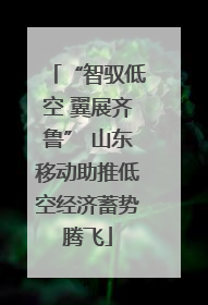 “智驭低空 翼展齐鲁” 山东移动助推低空经济蓄势腾飞
