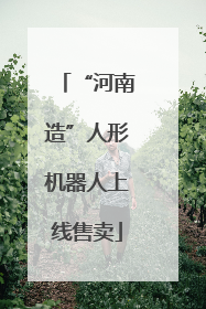 “河南造”人形机器人上线售卖