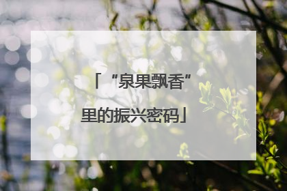 “泉果飘香”里的振兴密码