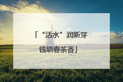 “活水”润新芽 钱塘春茶香