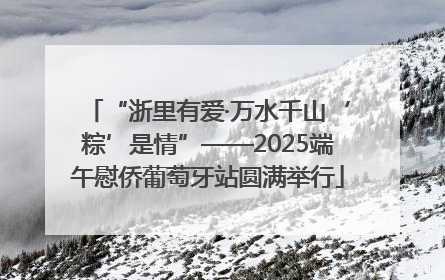 “浙里有爱·万水千山‘粽’是情”——2025端午慰侨葡萄牙站圆满举行