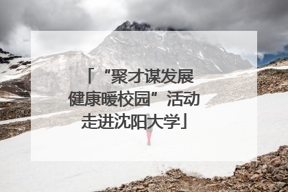 “聚才谋发展 健康暖校园”活动走进沈阳大学