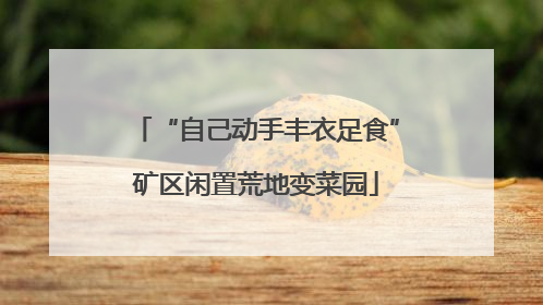 “自己动手丰衣足食”矿区闲置荒地变菜园