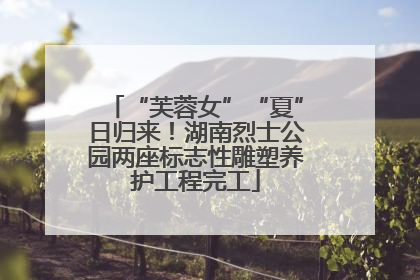 “芙蓉女”“夏”日归来！湖南烈士公园两座标志性雕塑养护工程完工