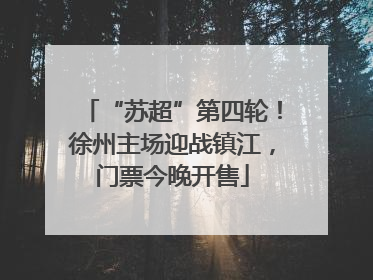 “苏超”第四轮！徐州主场迎战镇江，门票今晚开售