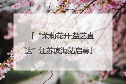 “茉莉花开·盐艺直达”江苏滨海站启幕