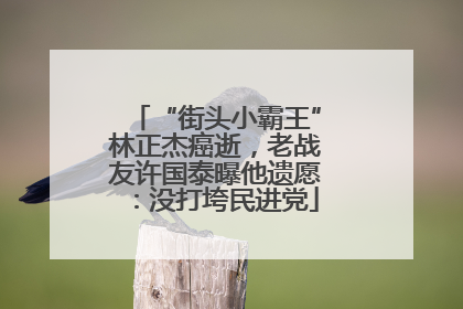 “街头小霸王”林正杰癌逝，老战友许国泰曝他遗愿：没打垮民进党