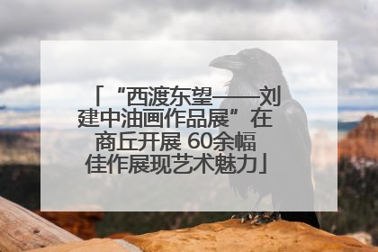 “西渡东望——刘建中油画作品展”在商丘开展 60余幅佳作展现艺术魅力