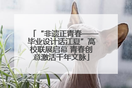 “非遗正青春——毕业设计话江夏”高校联展启幕 青春创意激活千年文脉
