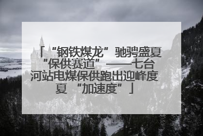 “钢铁煤龙”驰骋盛夏 “保供赛道”——七台河站电煤保供跑出迎峰度夏 “加速度”