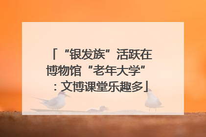 “银发族”活跃在博物馆“老年大学”：文博课堂乐趣多