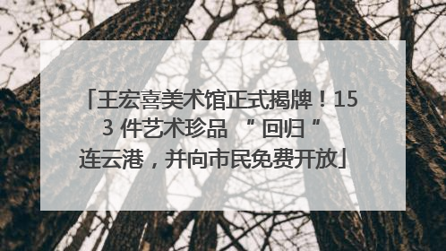 王宏喜美术馆正式揭牌！153 件艺术珍品 “ 回归 ” 连云港，并向市民免费开放