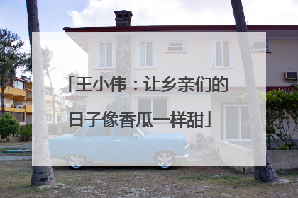 王小伟：让乡亲们的日子像香瓜一样甜