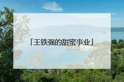 王铁强的甜蜜事业