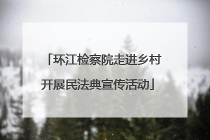 环江检察院走进乡村开展民法典宣传活动