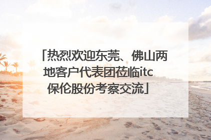 热烈欢迎东莞、佛山两地客户代表团莅临itc保伦股份考察交流