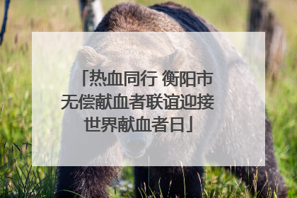 热血同行 衡阳市无偿献血者联谊迎接世界献血者日