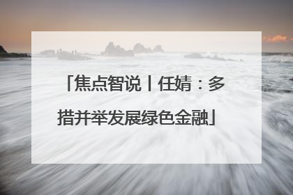 焦点智说丨任婧：多措并举发展绿色金融