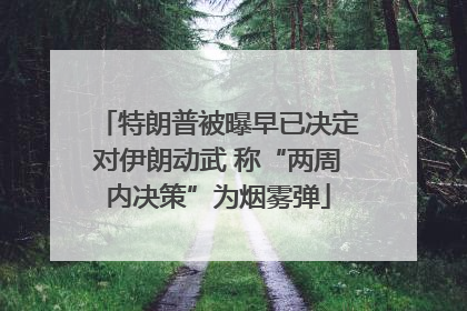 特朗普被曝早已决定对伊朗动武 称“两周内决策”为烟雾弹