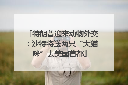 特朗普迎来动物外交：沙特将送两只“大猫咪”去美国首都